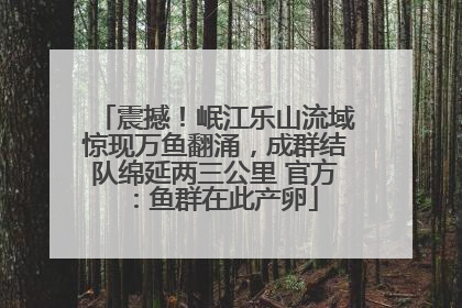 震撼！岷江乐山流域惊现万鱼翻涌，成群结队绵延两三公里 官方：鱼群在此产卵