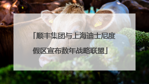 顺丰集团与上海迪士尼度假区宣布数年战略联盟
