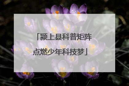颍上县科普矩阵点燃少年科技梦