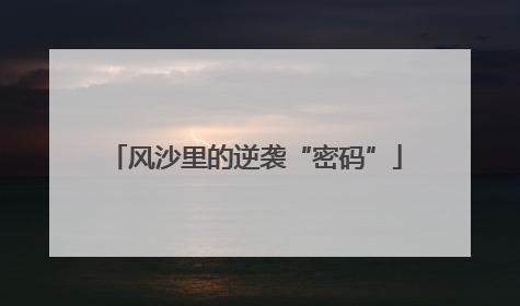 风沙里的逆袭“密码”