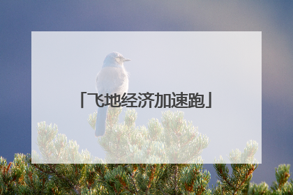 飞地经济加速跑