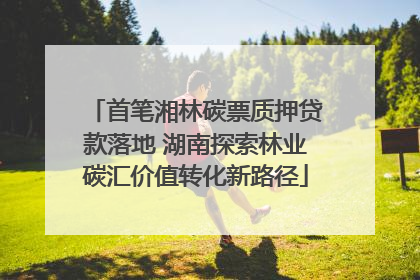 首笔湘林碳票质押贷款落地 湖南探索林业碳汇价值转化新路径