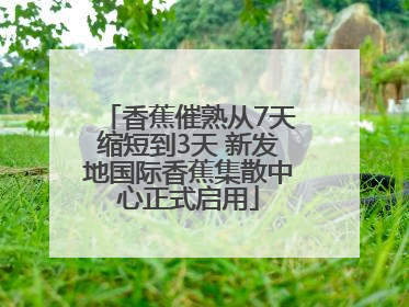 香蕉催熟从7天缩短到3天 新发地国际香蕉集散中心正式启用