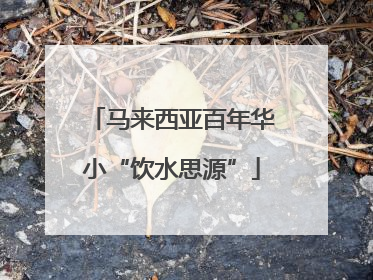 马来西亚百年华小“饮水思源”