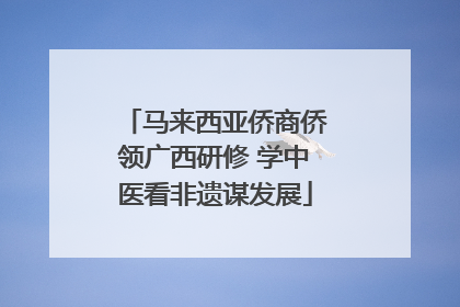 马来西亚侨商侨领广西研修 学中医看非遗谋发展