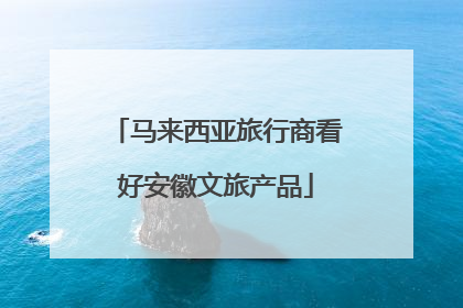 马来西亚旅行商看好安徽文旅产品