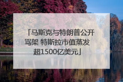 马斯克与特朗普公开骂架 特斯拉市值蒸发超1500亿美元