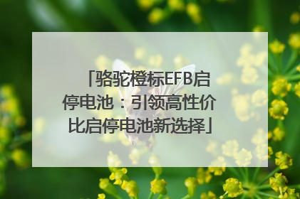 骆驼橙标EFB启停电池：引领高性价比启停电池新选择