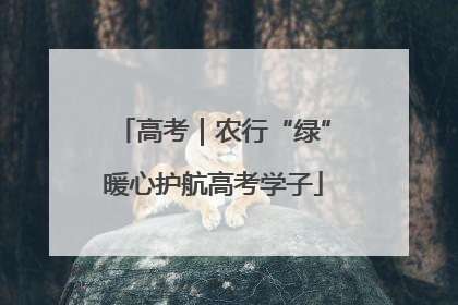 高考｜农行“绿”暖心护航高考学子