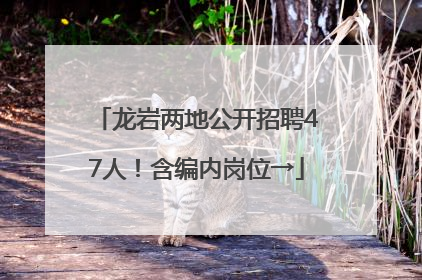 龙岩两地公开招聘47人！含编内岗位→
