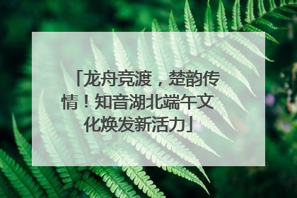 龙舟竞渡，楚韵传情！知音湖北端午文化焕发新活力