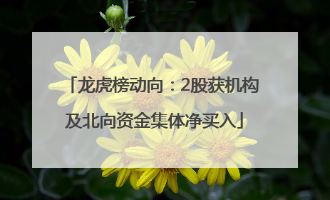 龙虎榜动向：2股获机构及北向资金集体净买入