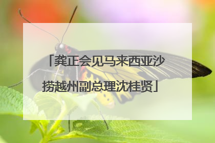 龚正会见马来西亚沙捞越州副总理沈桂贤