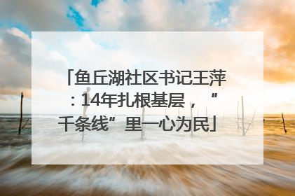 鱼丘湖社区书记王萍：14年扎根基层，“千条线”里一心为民