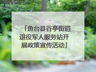 鱼台县谷亭街道退役军人服务站开展政策宣传活动