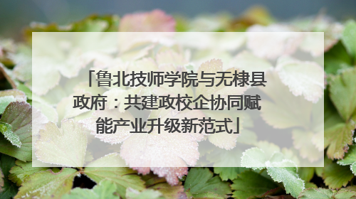 鲁北技师学院与无棣县政府：共建政校企协同赋能产业升级新范式