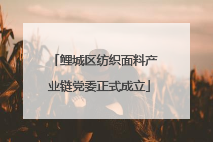 鲤城区纺织面料产业链党委正式成立
