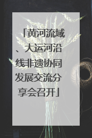 黄河流域、大运河沿线非遗协同发展交流分享会召开