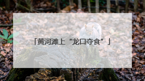 黄河滩上“龙口夺食”