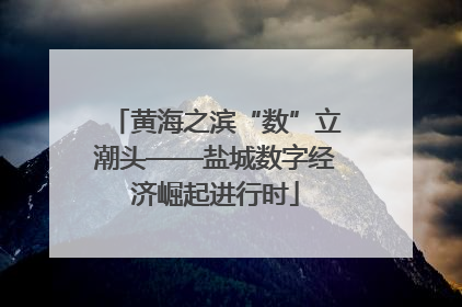 黄海之滨“数”立潮头——盐城数字经济崛起进行时