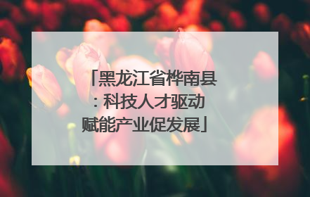 黑龙江省桦南县：科技人才驱动 赋能产业促发展
