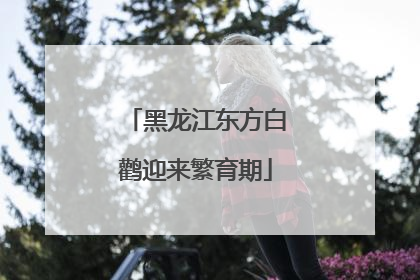 黑龙江东方白鹳迎来繁育期