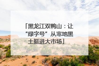 黑龙江双鸭山：让“绿字号”从寒地黑土挺进大市场