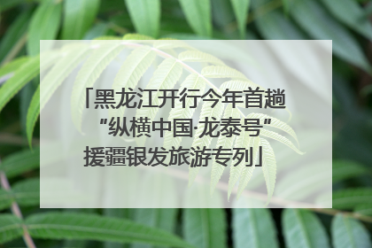 黑龙江开行今年首趟“纵横中国·龙泰号”援疆银发旅游专列