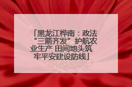 黑龙江桦南：政法“三箭齐发”护航农业生产 田间地头筑牢平安建设防线