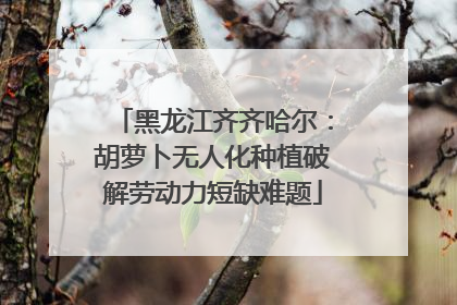 黑龙江齐齐哈尔：胡萝卜无人化种植破解劳动力短缺难题