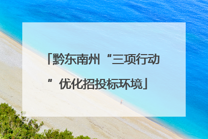 黔东南州“三项行动”优化招投标环境