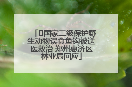 ﻿国家二级保护野生动物误食鱼钩被送医救治 郑州惠济区林业局回应