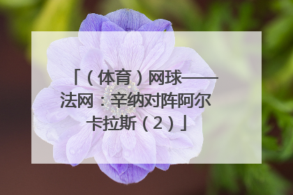 （体育）网球——法网：辛纳对阵阿尔卡拉斯（2）