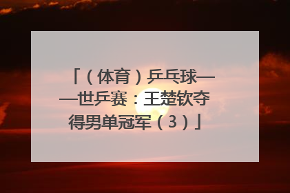 （体育）乒乓球——世乒赛：王楚钦夺得男单冠军（3）