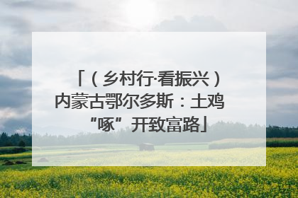 （乡村行·看振兴）内蒙古鄂尔多斯：土鸡“啄”开致富路