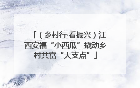 （乡村行·看振兴）江西安福“小西瓜”撬动乡村共富“大支点”