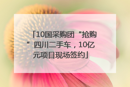 10国采购团“抢购”四川二手车，10亿元项目现场签约