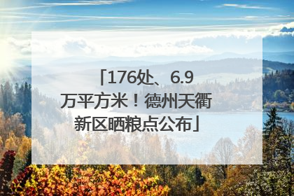 176处、6.9万平方米！德州天衢新区晒粮点公布
