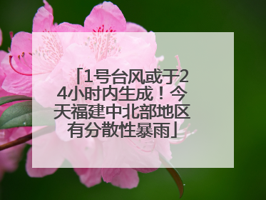 1号台风或于24小时内生成！今天福建中北部地区有分散性暴雨