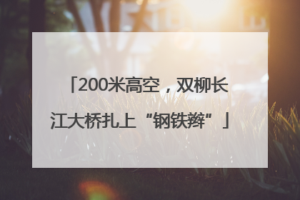 200米高空，双柳长江大桥扎上“钢铁辫”