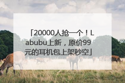 20000人抢一个！Labubu上新，原价99元的耳机包上架秒空
