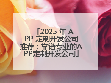 2025 年 APP 定制开发公司推荐：靠谱专业的APP定制开发公司
