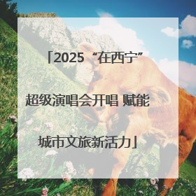 2025“在西宁”超级演唱会开唱 赋能城市文旅新活力