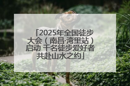 2025年全国徒步大会（南昌·湾里站）启动 千名徒步爱好者共赴山水之约
