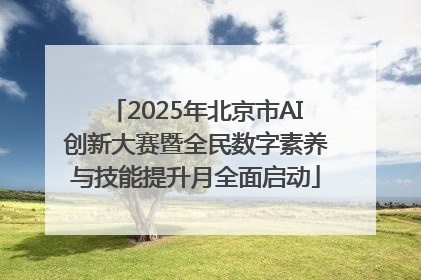2025年北京市AI创新大赛暨全民数字素养与技能提升月全面启动