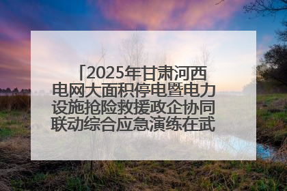 2025年甘肃河西电网大面积停电暨电力设施抢险救援政企协同联动综合应急演练在武威成功举行
