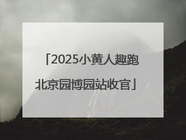 2025小黄人趣跑北京园博园站收官