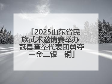 2025山东省民族武术邀请赛举办 冠县查拳代表团勇夺三金二银一铜