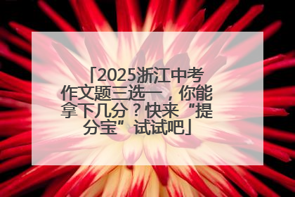 2025浙江中考作文题三选一，你能拿下几分？快来“提分宝”试试吧