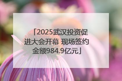 2025武汉投资促进大会开幕 现场签约金额984.9亿元